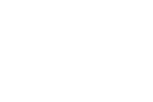 AlikeAudience Logo