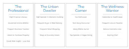 An example of psychographic segmentation based on AlikeAudience's 7000+ audience segments