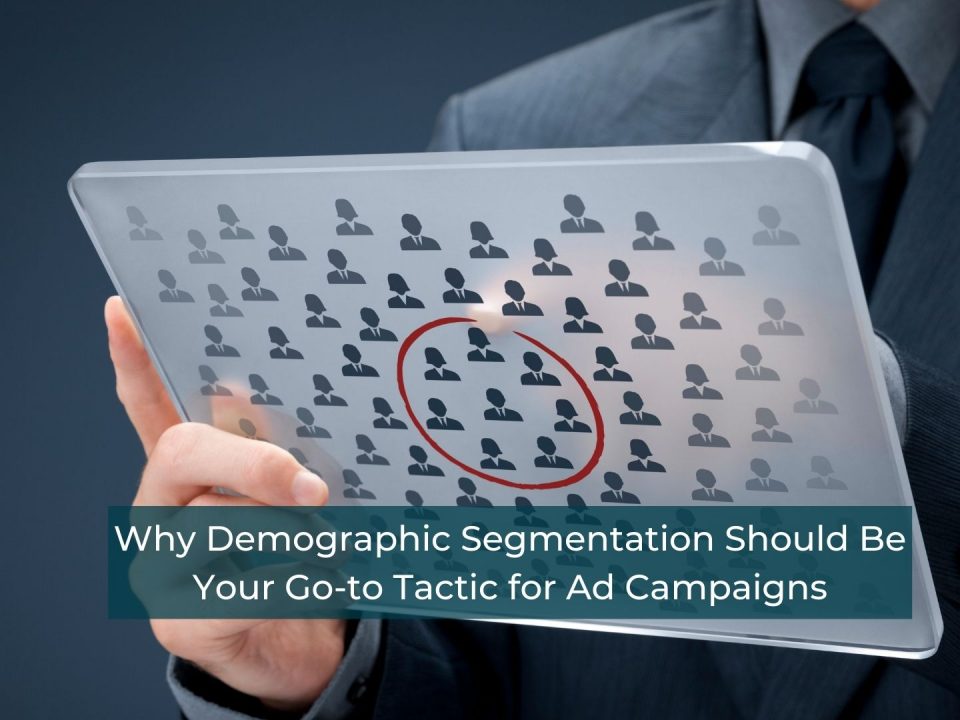 Why Demographic Segmentation Should Be Your Go-to Audience Segmentation Tactic for Ad Campaigns