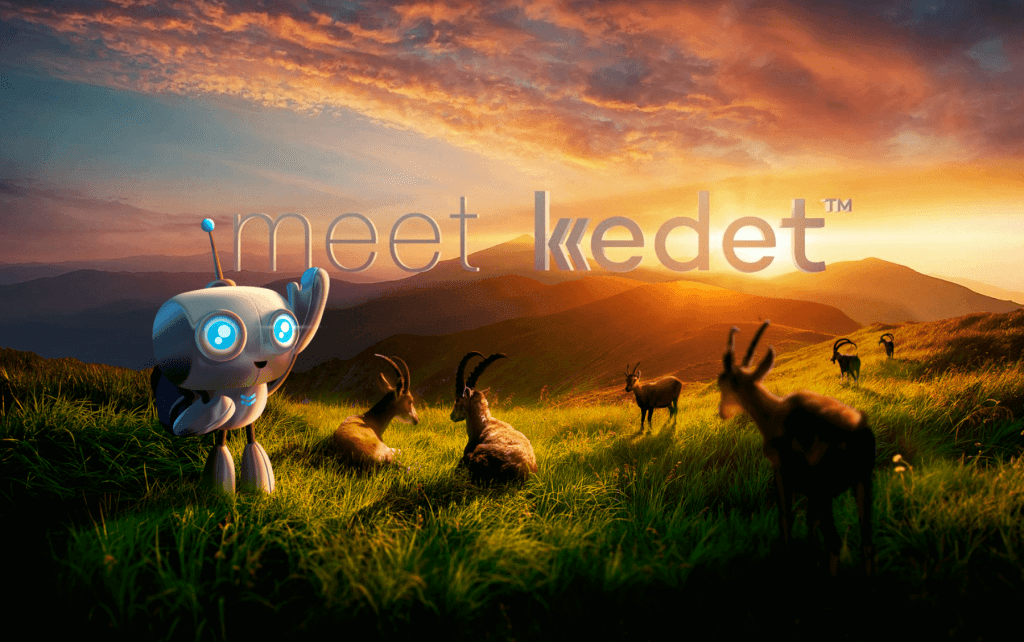 A promotional image of Kedet, a DSP platform by programmatic advertising agency War Room – AlikeAudience