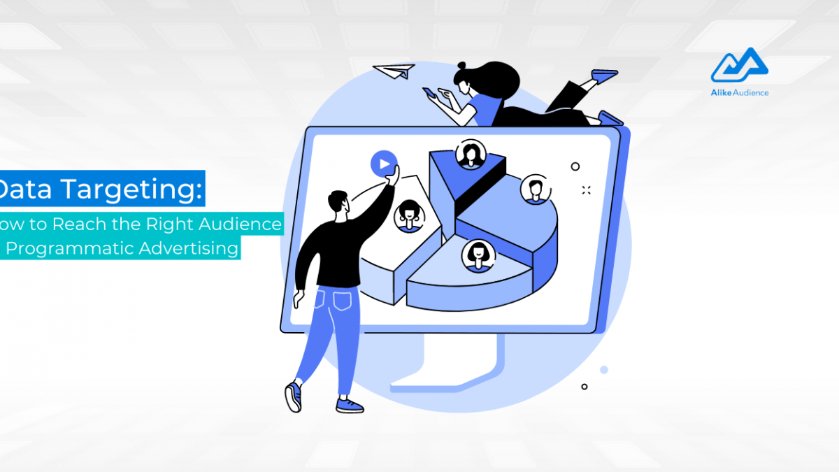 The guide to customer data in programmatic advertising - AlikeAudience